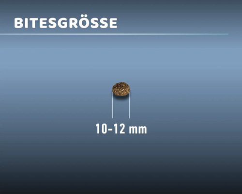 MR.BEEF Junior droogvoer voor honden, 4 kg, rundvlees, non-GMO, zonder toegevoegde suikers, zonder kunstmatige kleurstoffen, zonder soja. Gemaakt in Duitsland.