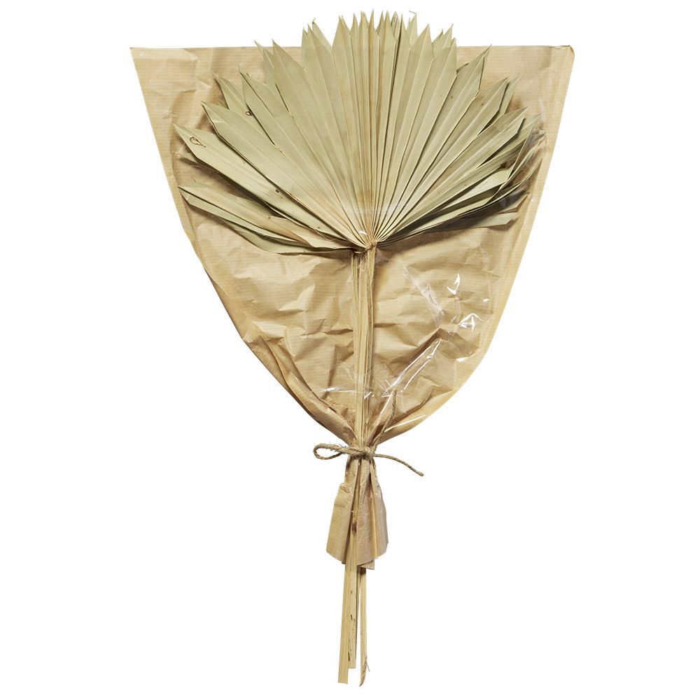 Feuille de palmier séchée - 3 branches H50 cm