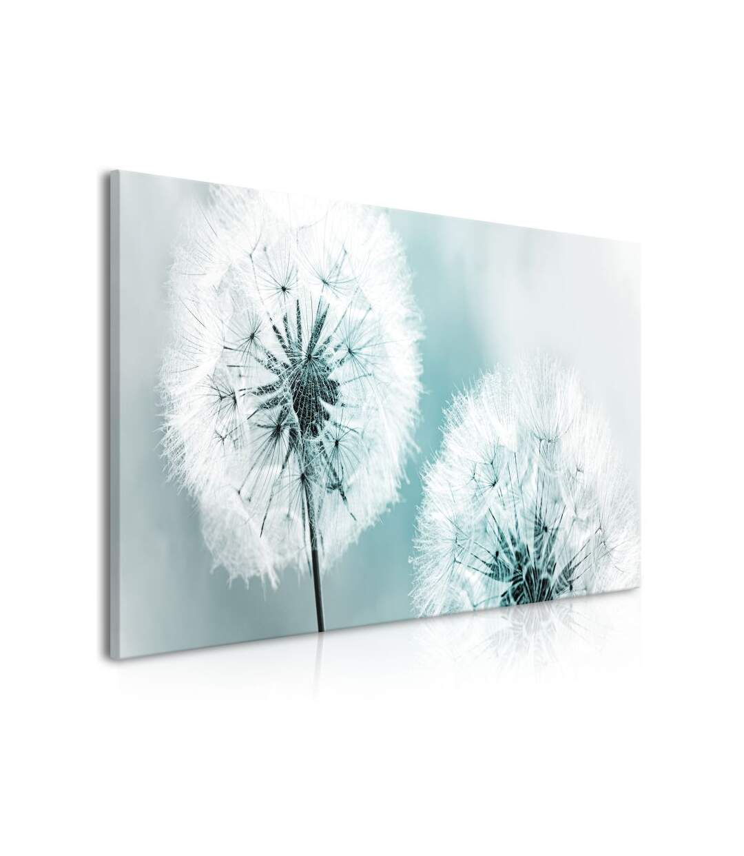 Paris Prix - Tableau Imprimé fluffy Dandelions Blue Wide 45x100cm