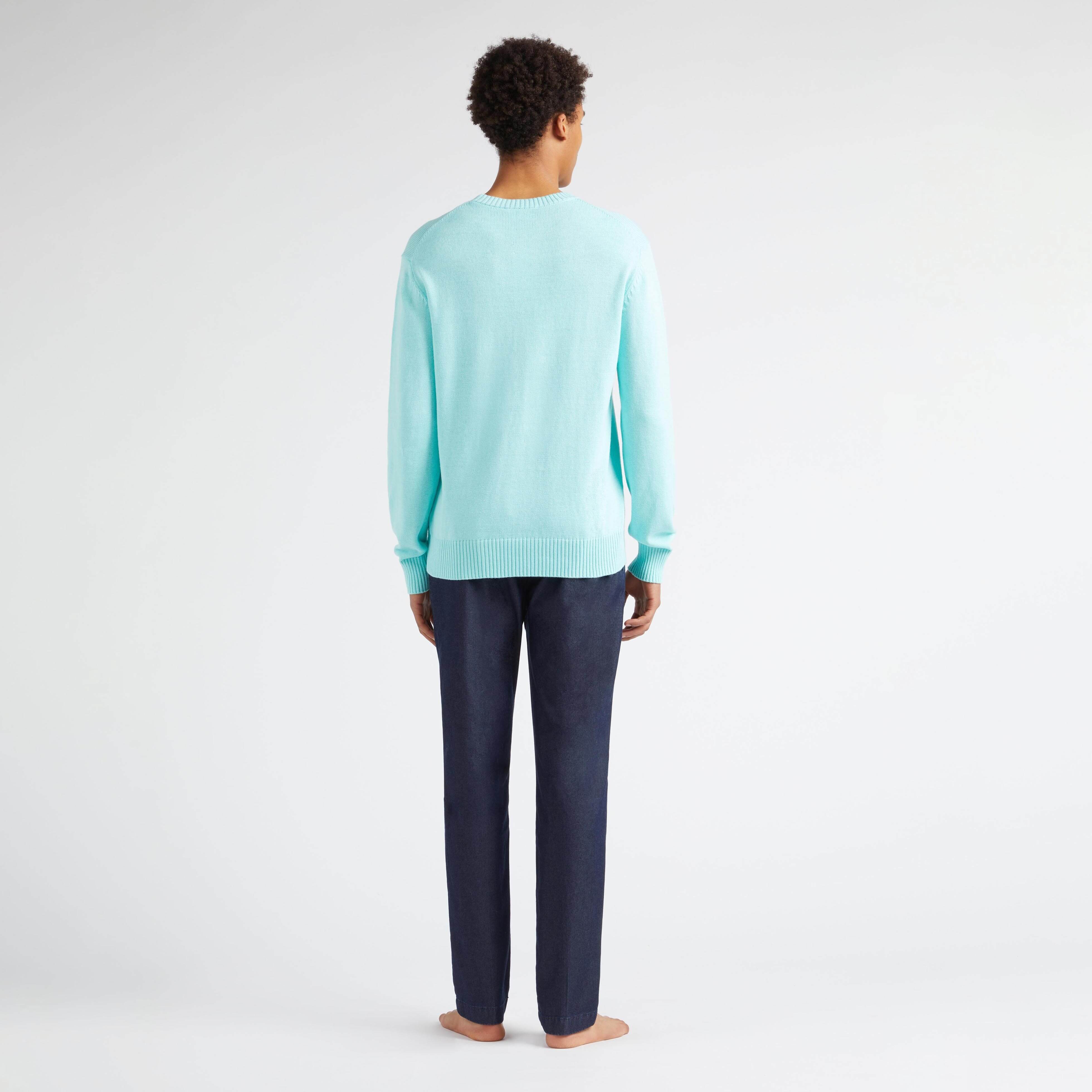Pullover en Coton et Cachemire Ras-du-Cou Homme Tortue