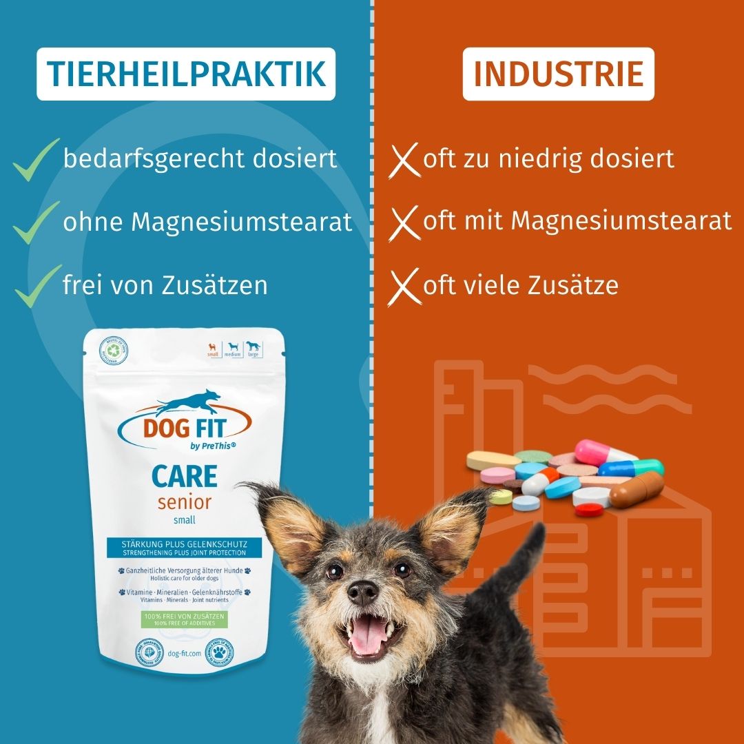DOG FIT by PreThis® CARE senior » Stärkungs-, Gelenk- & Bandscheibenmittel für alte Hunde (large)