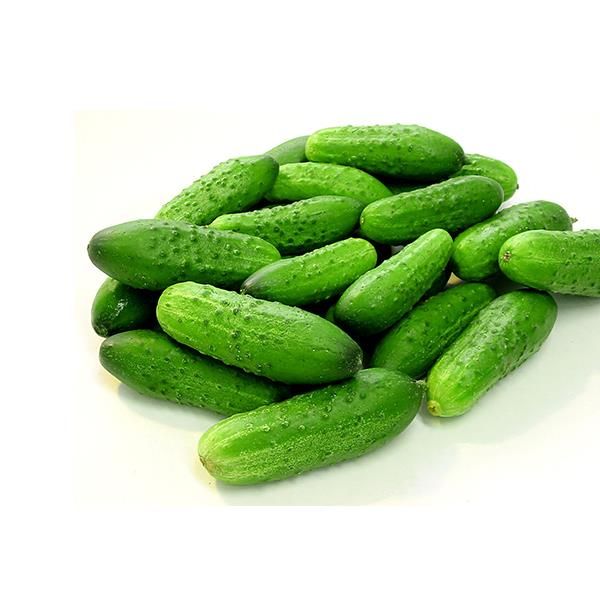 Pepino Mini Bio - Emb 200G