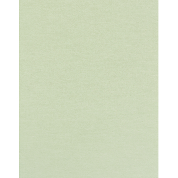 Rolgordijn Draaikiepraam kunststof of aluminium 1012 groen