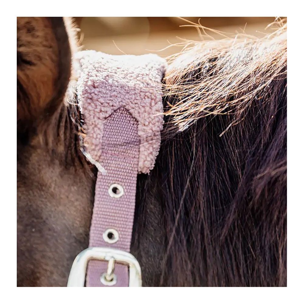 Kentucky TEDDY FLEECE - Licol rose
