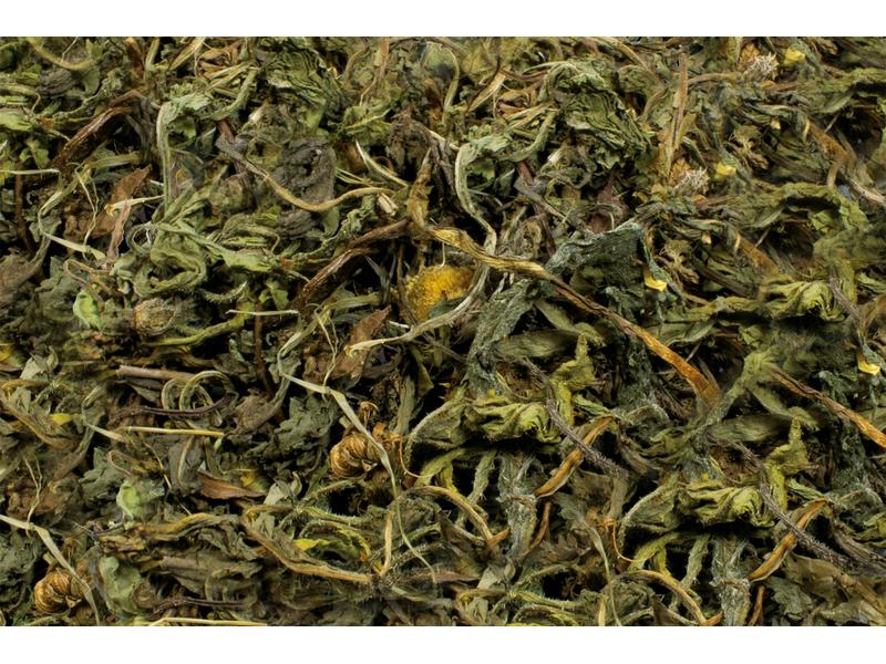 JR Farm Herbs Löwenzahn, 100 g Ergänzungsfuttermittel für alle Nager und Zwergkaninchen