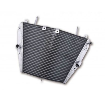 Radiateur Brazoline A EAU ADAPTABLE