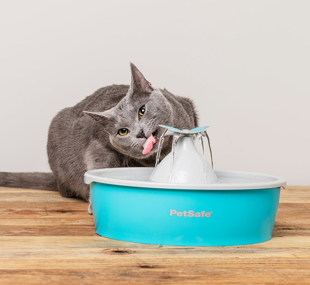 Petsafe Drinkwell drinkfontein Butterfly blauw 27,2 x 11,6 x 22,3 cm