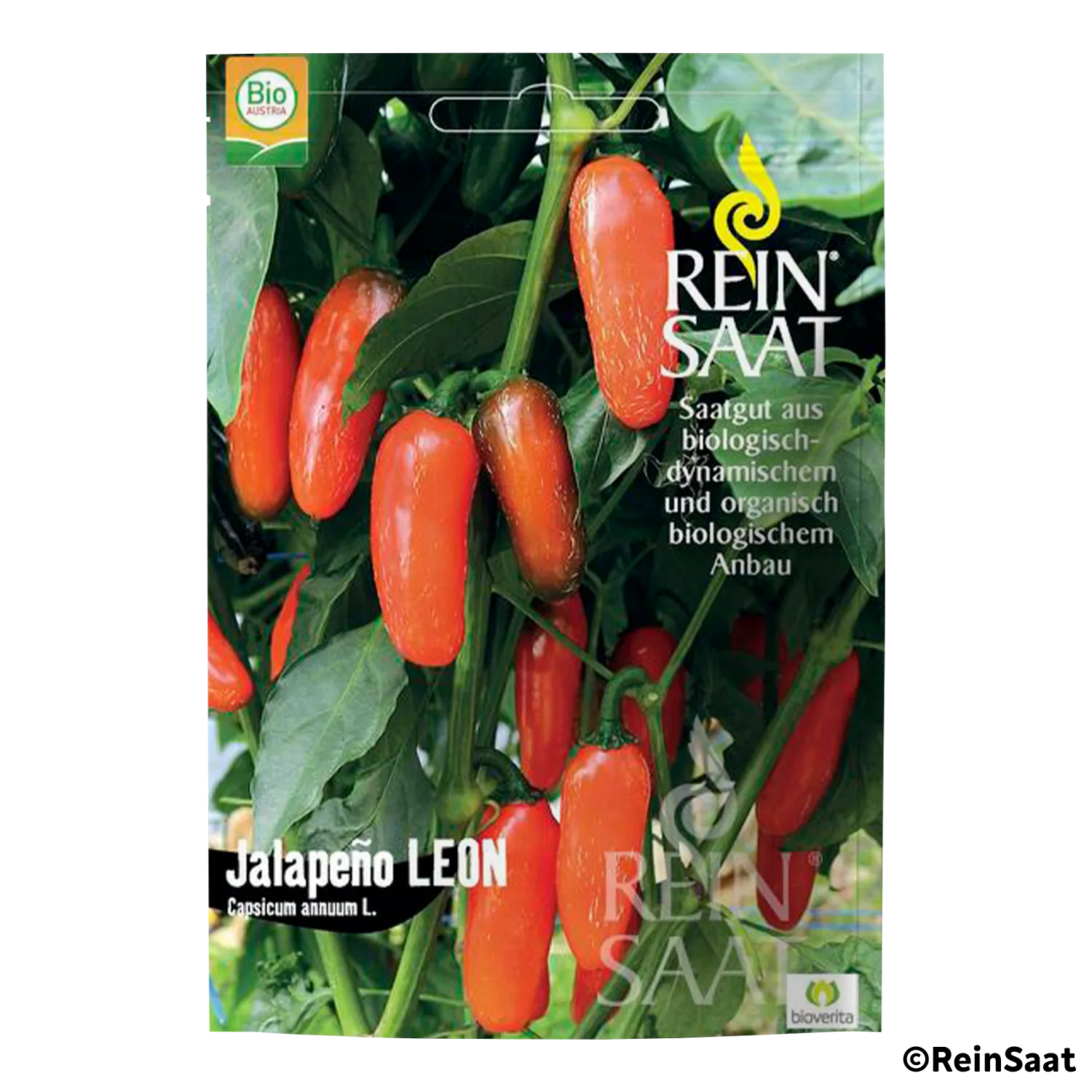 Saatgut Chili 