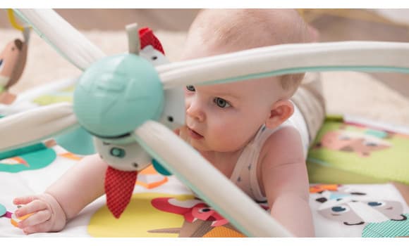 Tiny Love Gymini Deluxe Into the Forest Playmat