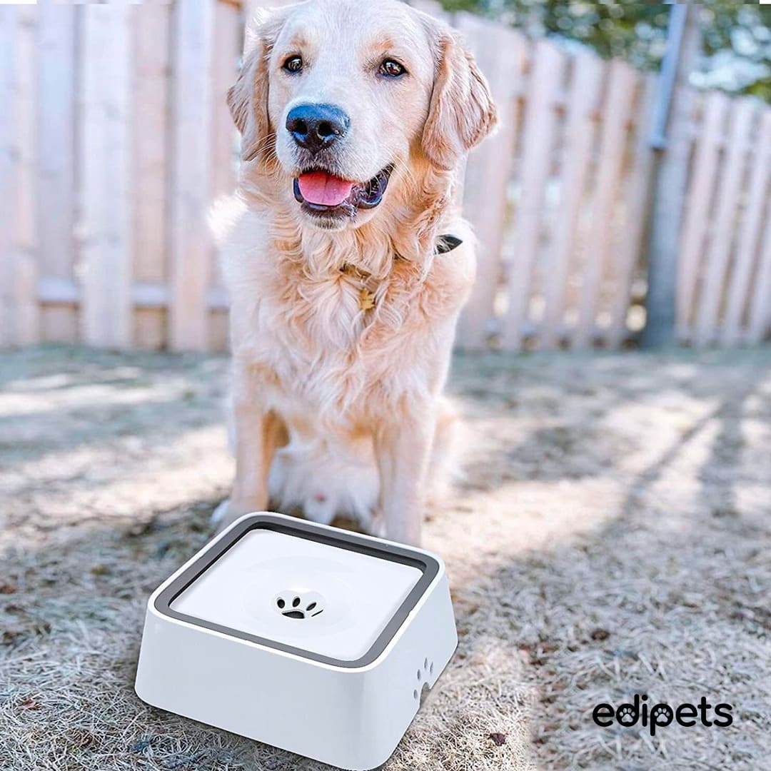 Tigela flutuante Edipets branca, antiderrapante e anti-respingos para cães.