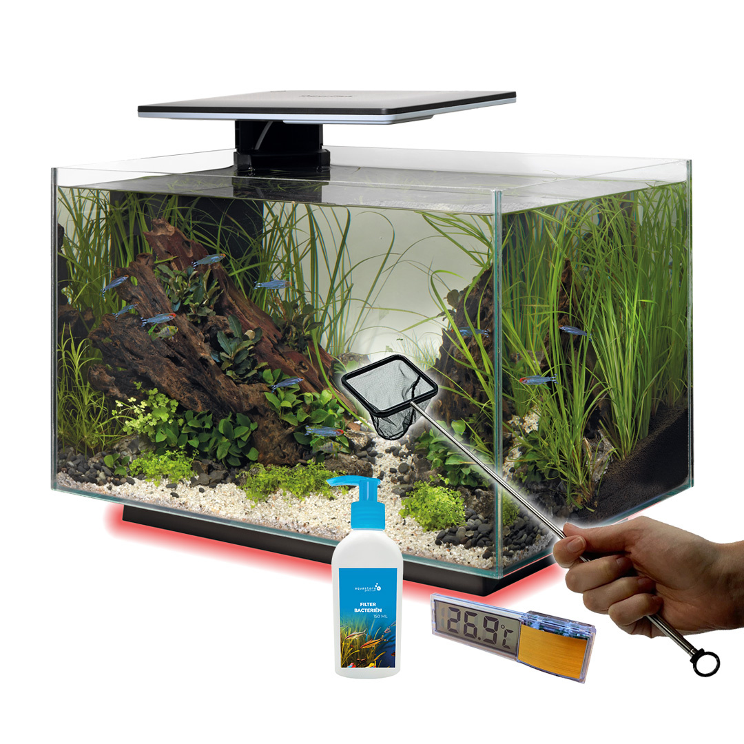 Superfish Quadro 40 Multi Colour Wit Voordeelbundel