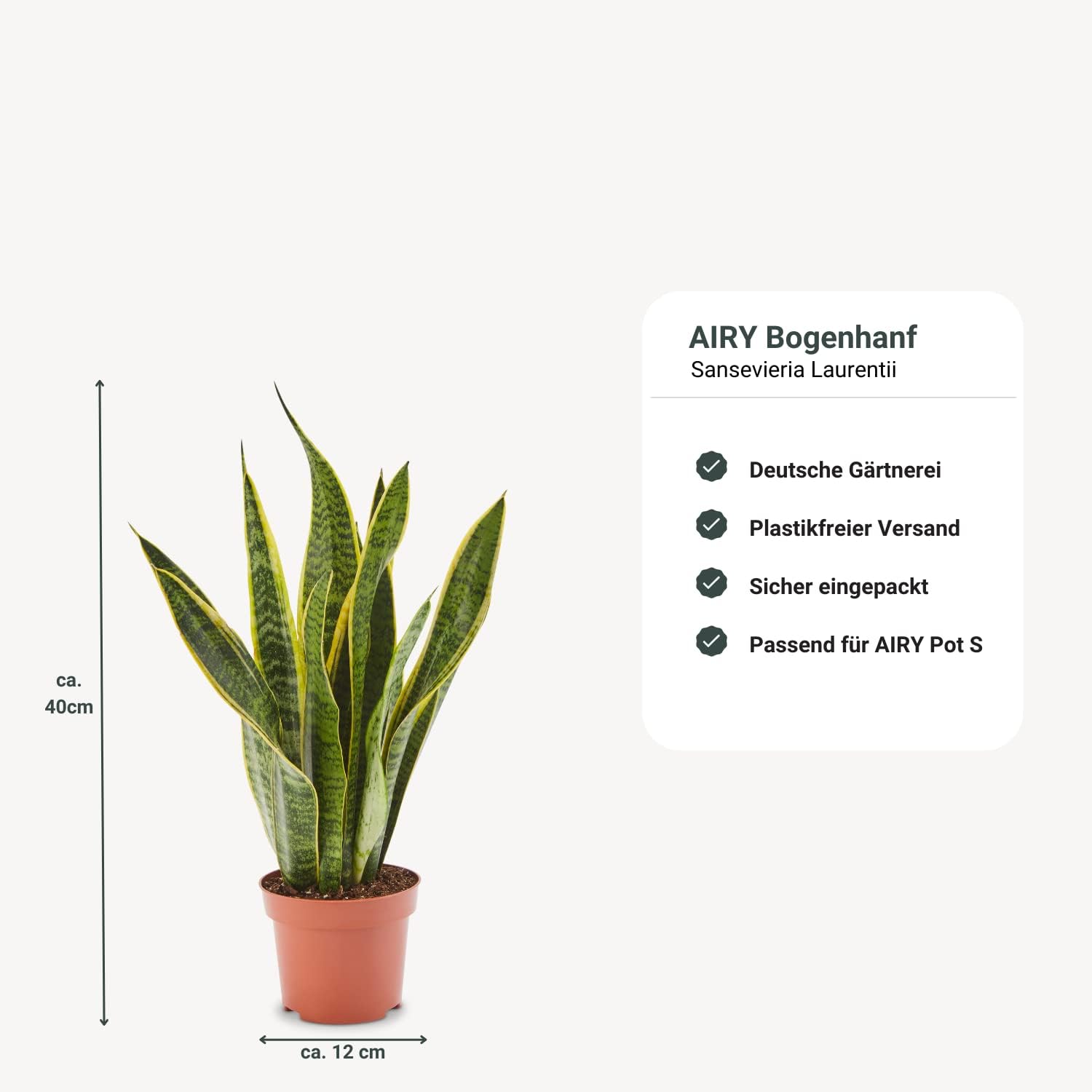 AIRY System L inkl. 3 Bogenhanfe & Airy Base Substrat • Natürlicher Luftreiniger eliminiert Schadstoffe, Allergene & Gerüche • Für Räume mit ca. 30qm • Made in Germany, 3304-613 grau-grau