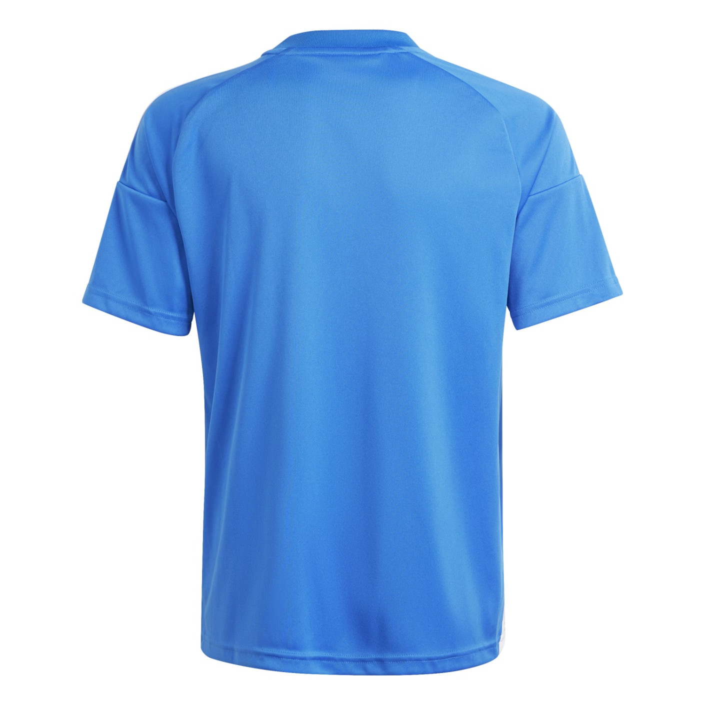 Adidas Italië Thuisshirt Fans 2024-2026 Kids
