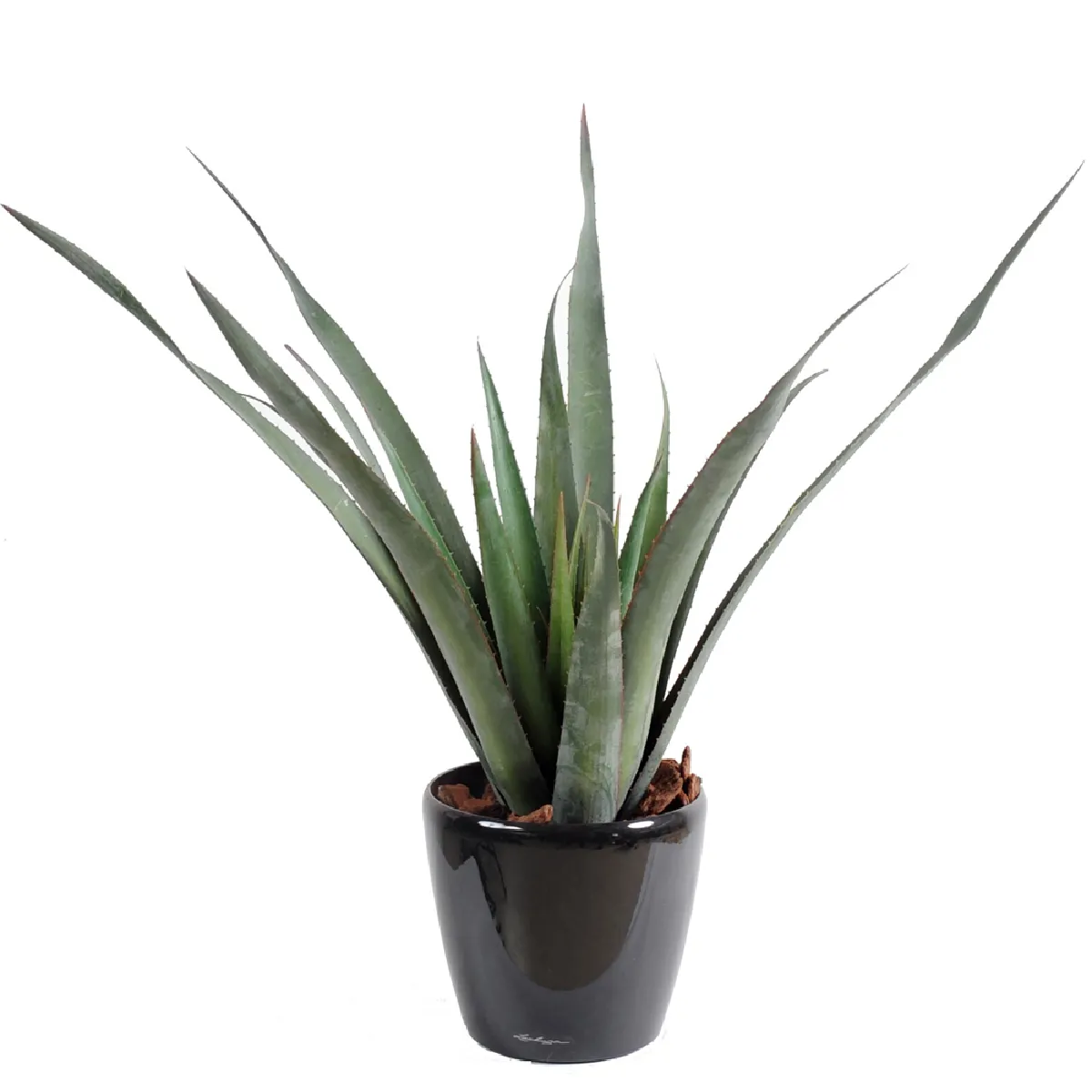 Pegane Aloe ferox artificiel - Vert 65 cm