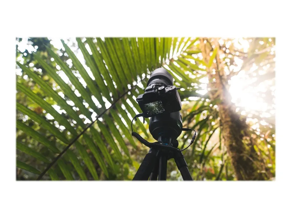 Syrp Genie II Pan Tilt - Motoriseret stativhoved