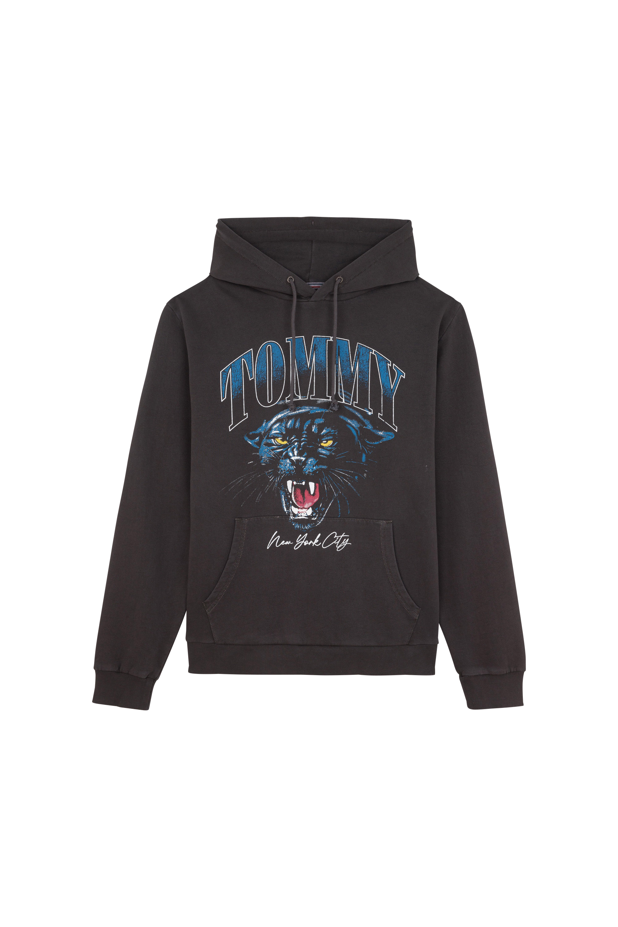 TOMMY JEANS Hoodie TJM REG PANTHER VINT Noir