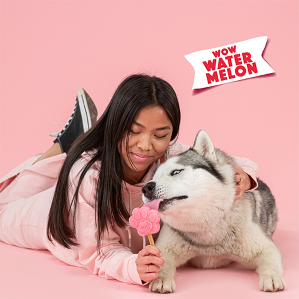 Smoofl Honden IJsmix Watermeloen160 gr