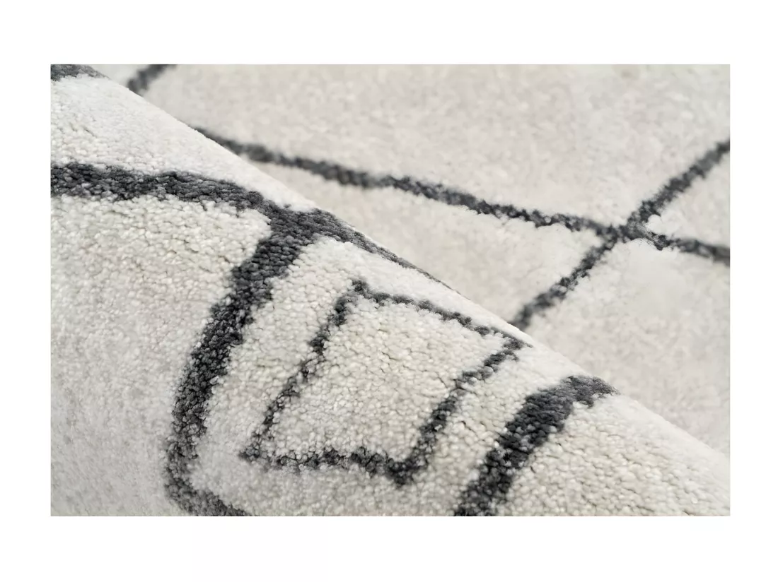 Tapis 230x160cm, design A205R coloris ivoire - Confort et élégance pour votre intérieur