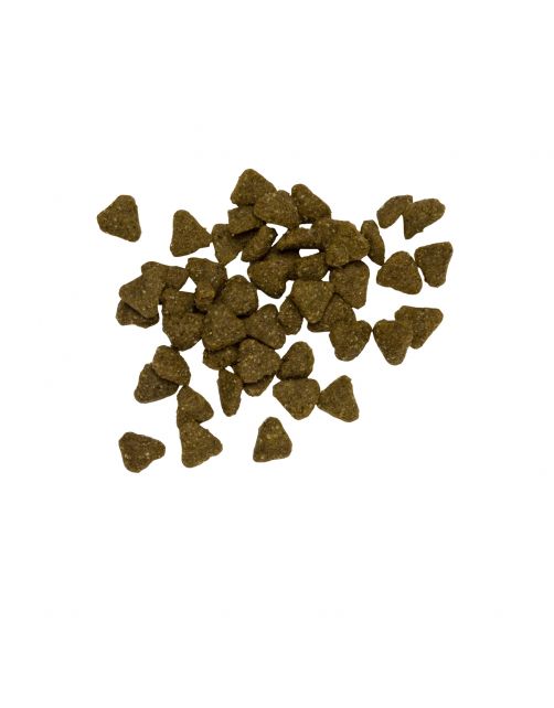 Pets Place Plus Hond Adult Zalm - Hondenvoer