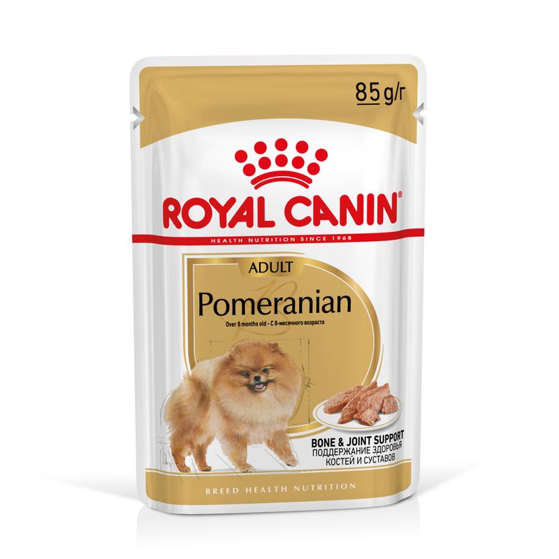 Royal Canin Spitz Nain Adult en mousse