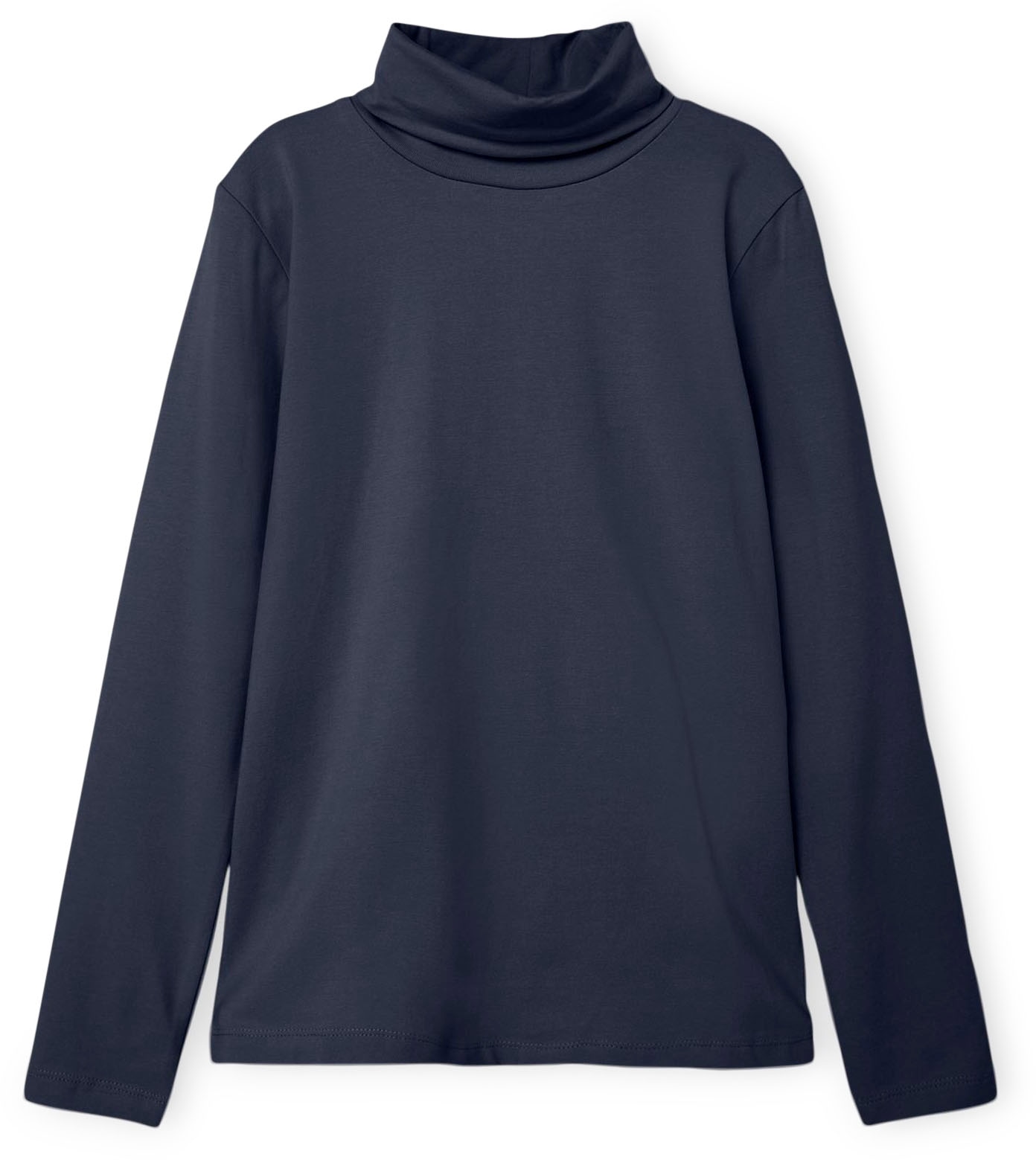 Name It Rollkragenshirt »NKNVIGGO 2P LS SLIM ROLLNECK O NOOS«, 2 Stk.