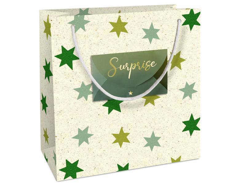 Braun   Company Geschenktasche Iceland Forest 20 x 21 x 8 c Geschenkverpackung aus Graspapier