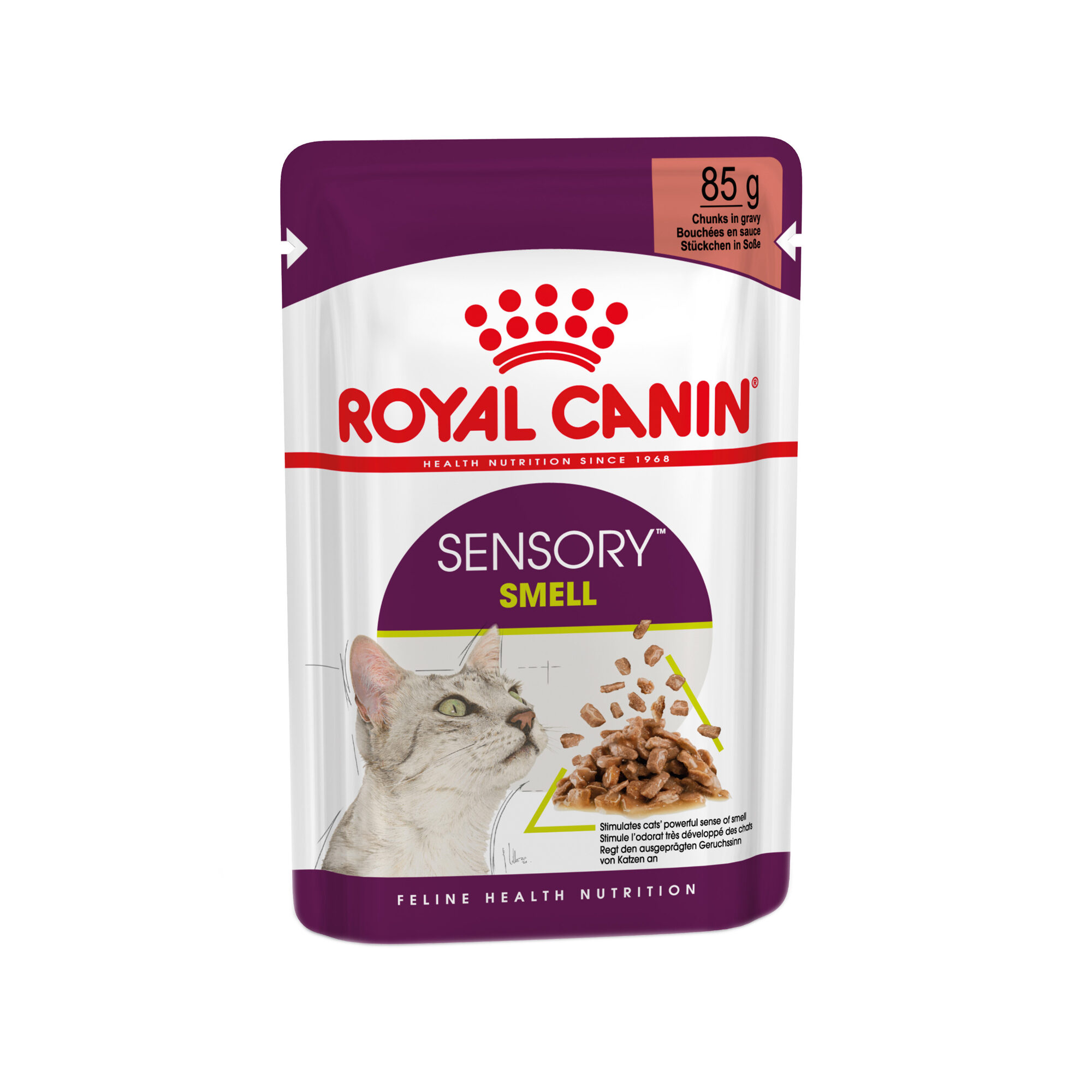 Royal Canin FHN Sensory Smell In Gravy