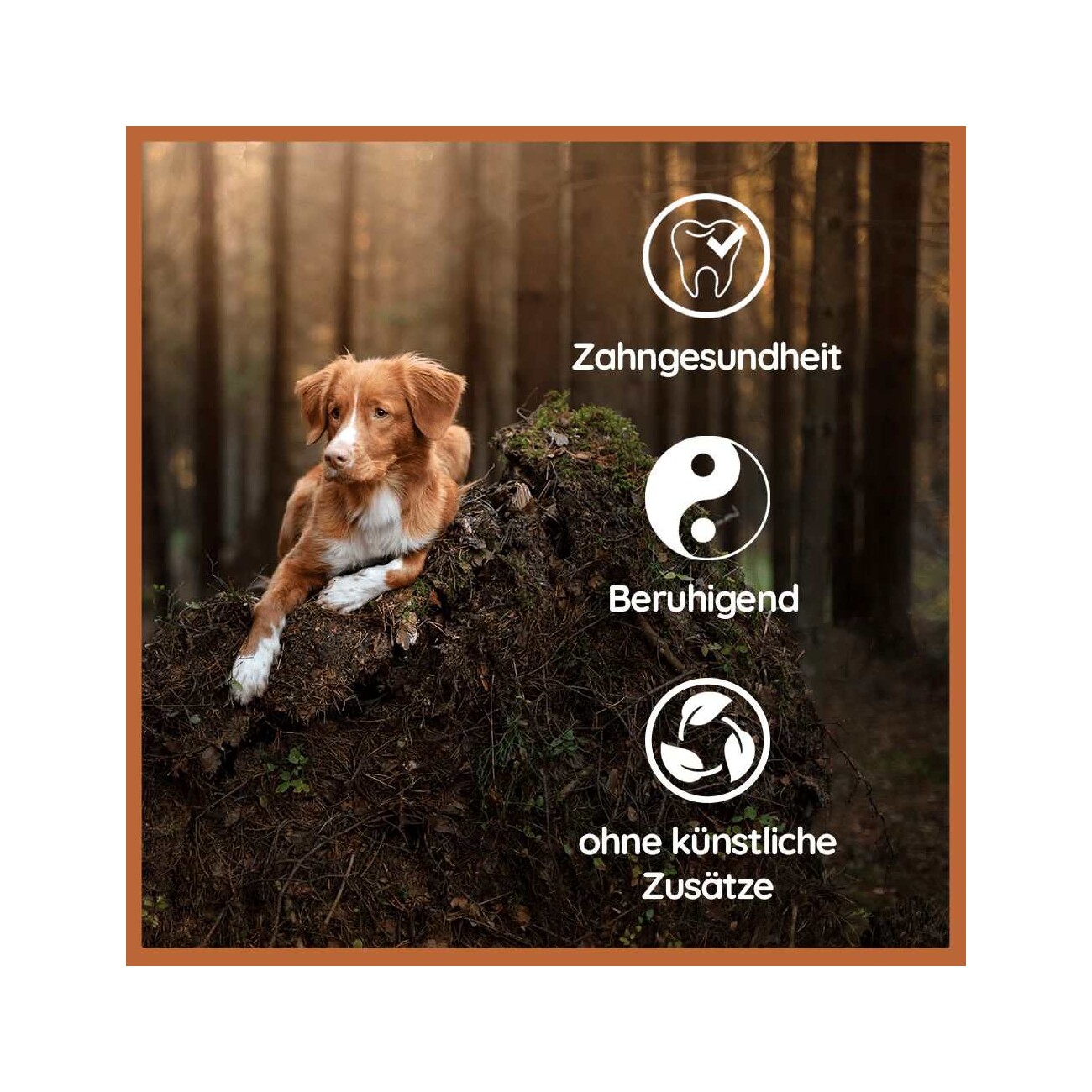 Wildfang ® Welpen Paket XXL Willkommen Liebling M