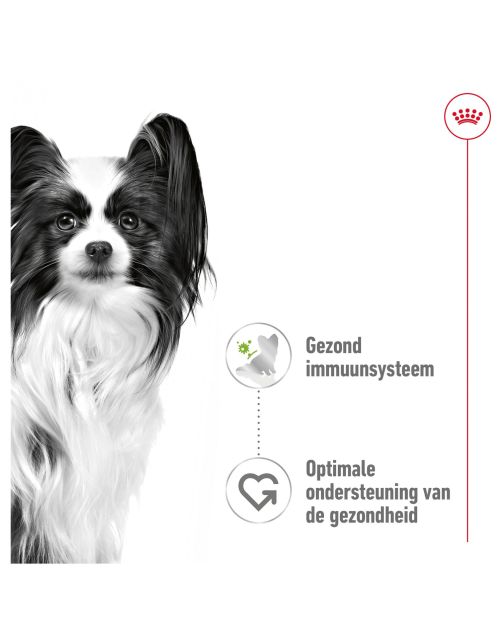 Royal Canin X-Small Adult Wet - Hondenvoer - 85 g