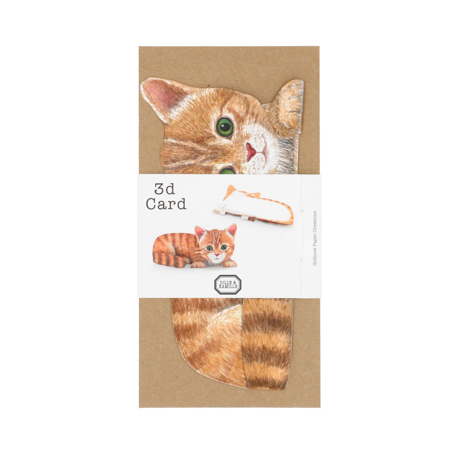 Kaart 3D met envelop, kat