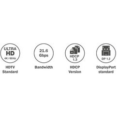 Câble de connexion DisplayPort, mâle - mâle, 1,0 m
