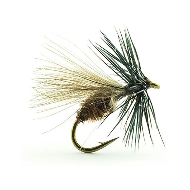 Mouche Devaux Terrestre Jbf 02 Bl