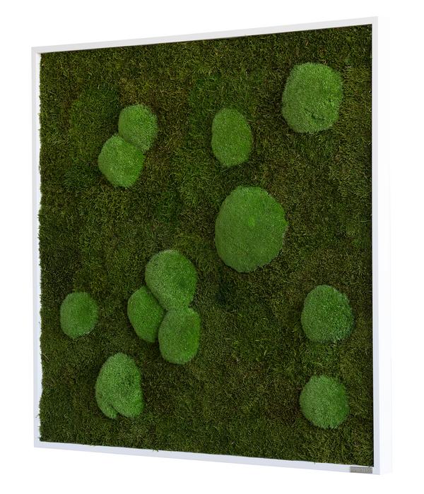 styleGREEN Bild aus Wald- und Kugelmoos,