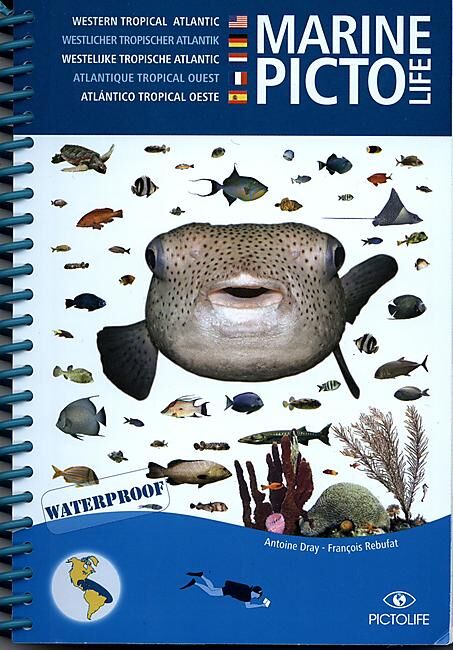 PICTOLIFE - PICTO WESTERN TROPICAL ATLANTIC CARAIBES