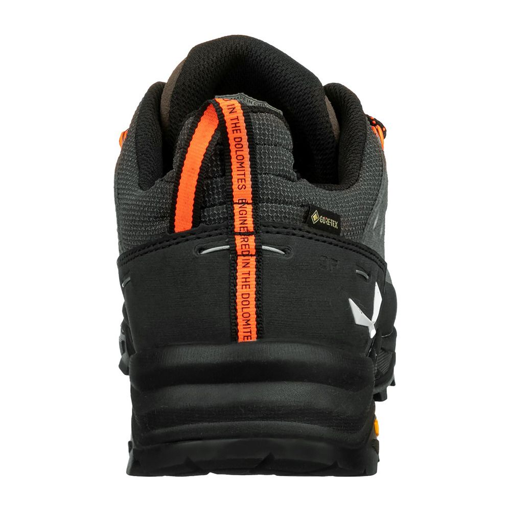 Salewa ALP TRAINER 2 GTX - Chaussures randonné Homme bungee cord/black
