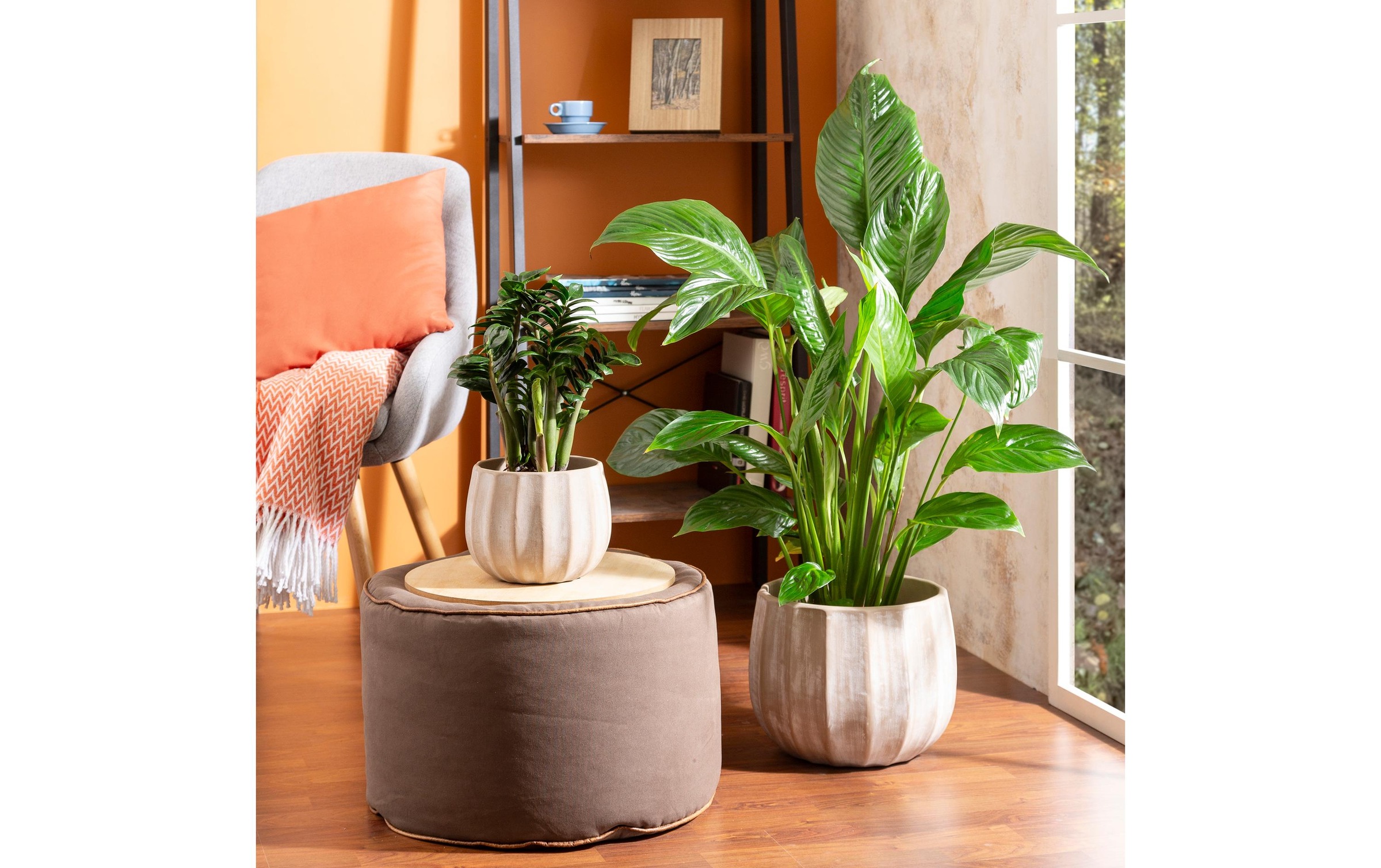 Scheurich Blumentopf »Runa 13 l«