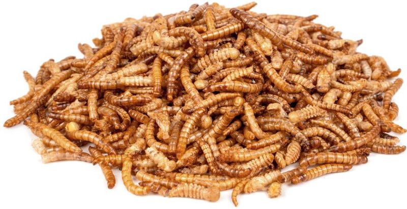 Deli Nature - ChiX - Meelwormen - 500 gr - Dierensupplementen