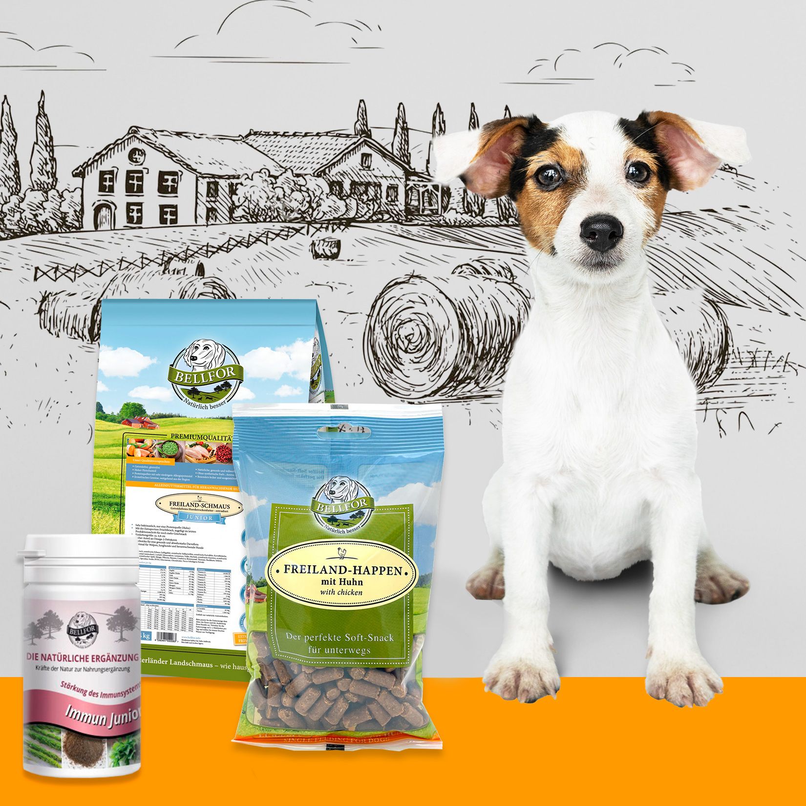 Bellfor Welpenfutter Set für kleine Rassen - Super Angebote für Ihren Welp