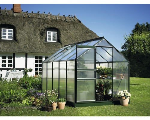 Kas Hallen Populair 106 6,2 m² Dubbelwandige polycarbonaat panelen 4 mm 193x319 cm groen
