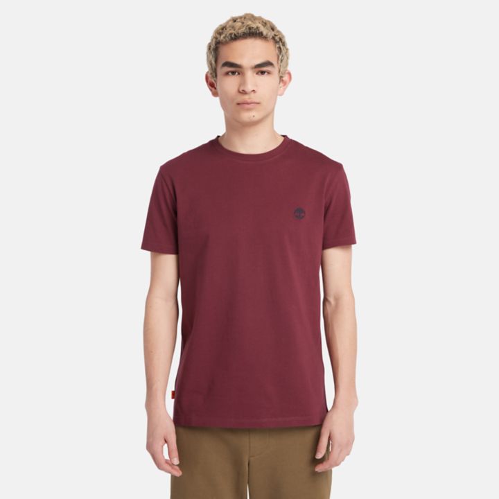 Camiseta Dunstan River Crewneck Masculina na Cor Borgonha