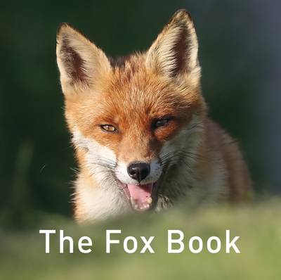 The Fox Book (Hardback)