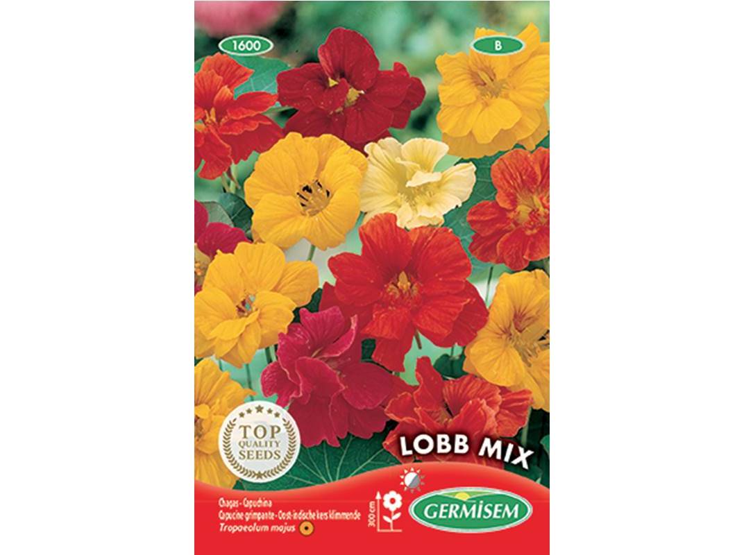 SEMENTES SOMELITE CHAGAS LOBB MIX
