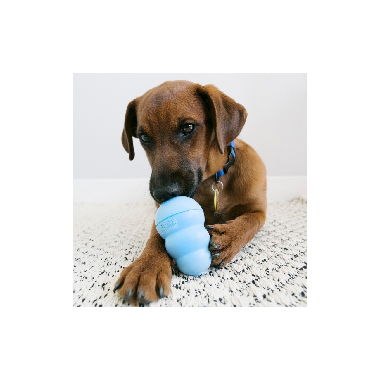 KONG Snacks Puppy klein 198 g