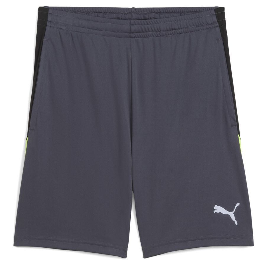Puma individualLIGA Trainingsshorts
