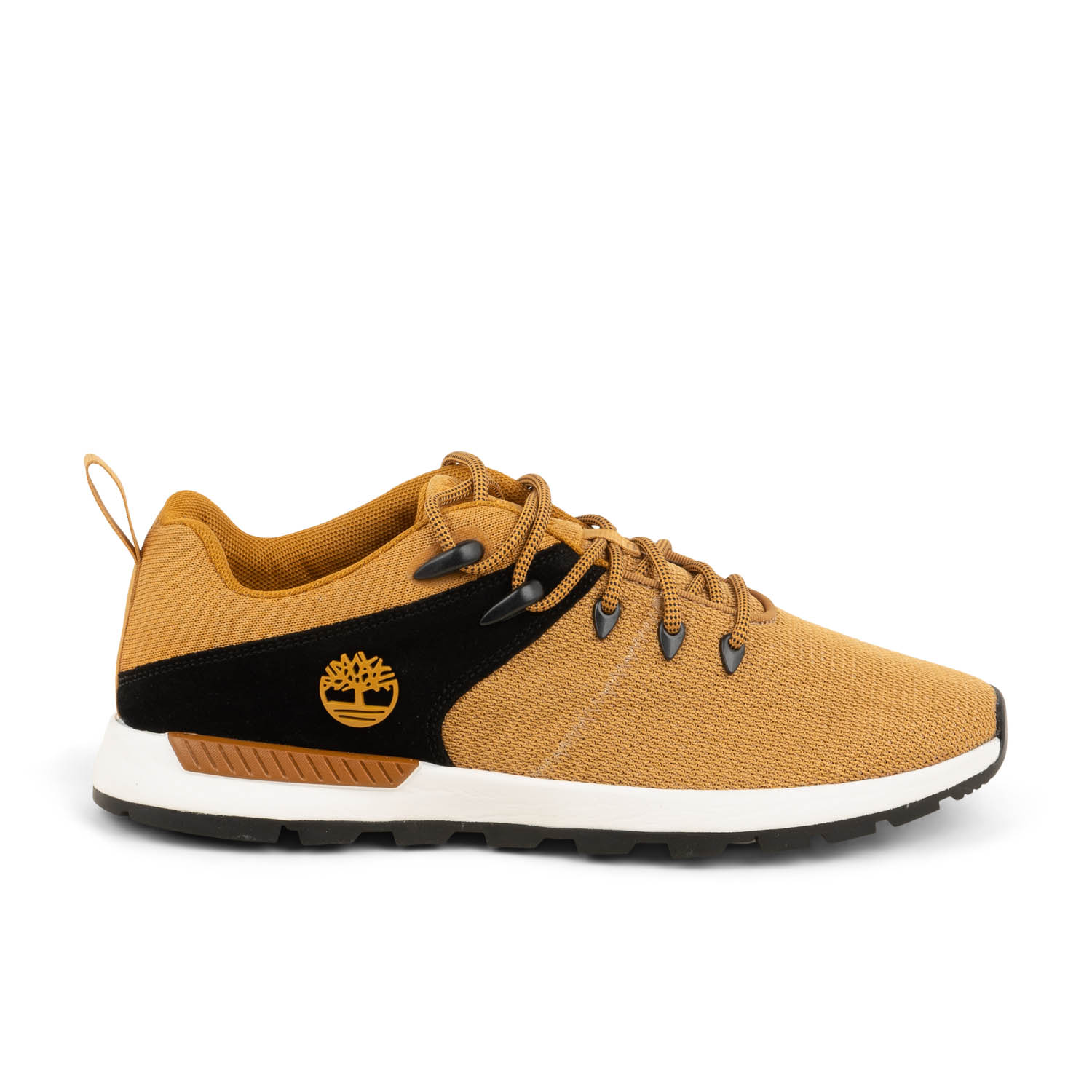 Baskets homme TIMBERLAND SPRINT TREKKER LOW