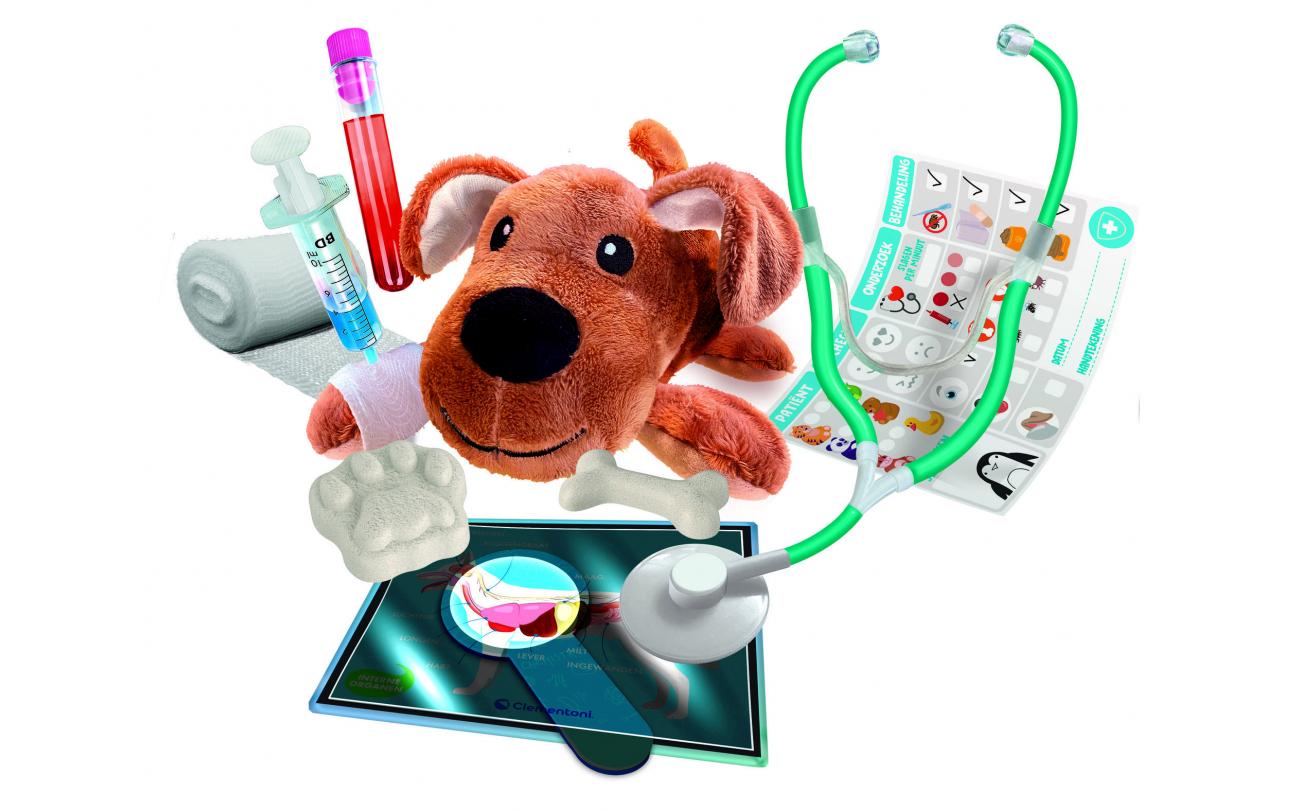 Wetenschap & Spel - Dierenartsen In Spe