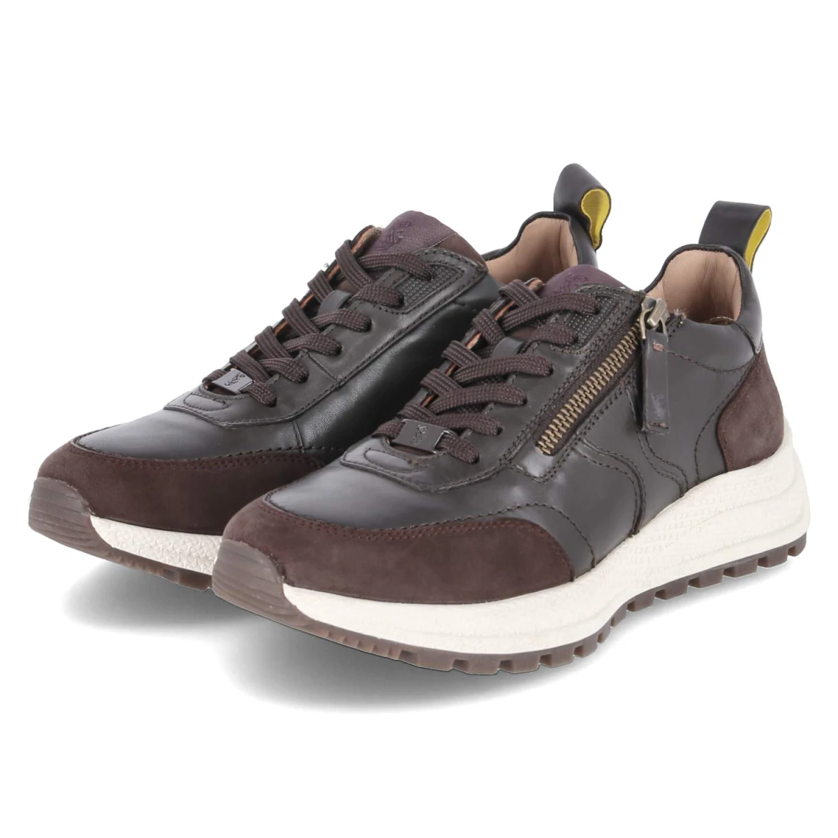 SalamanderLow Sneaker - dark brown / brown