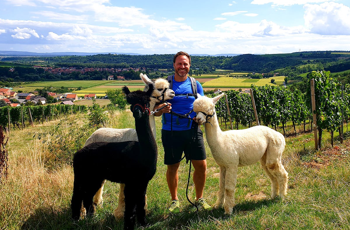 Alpaka Wanderung Dipbach