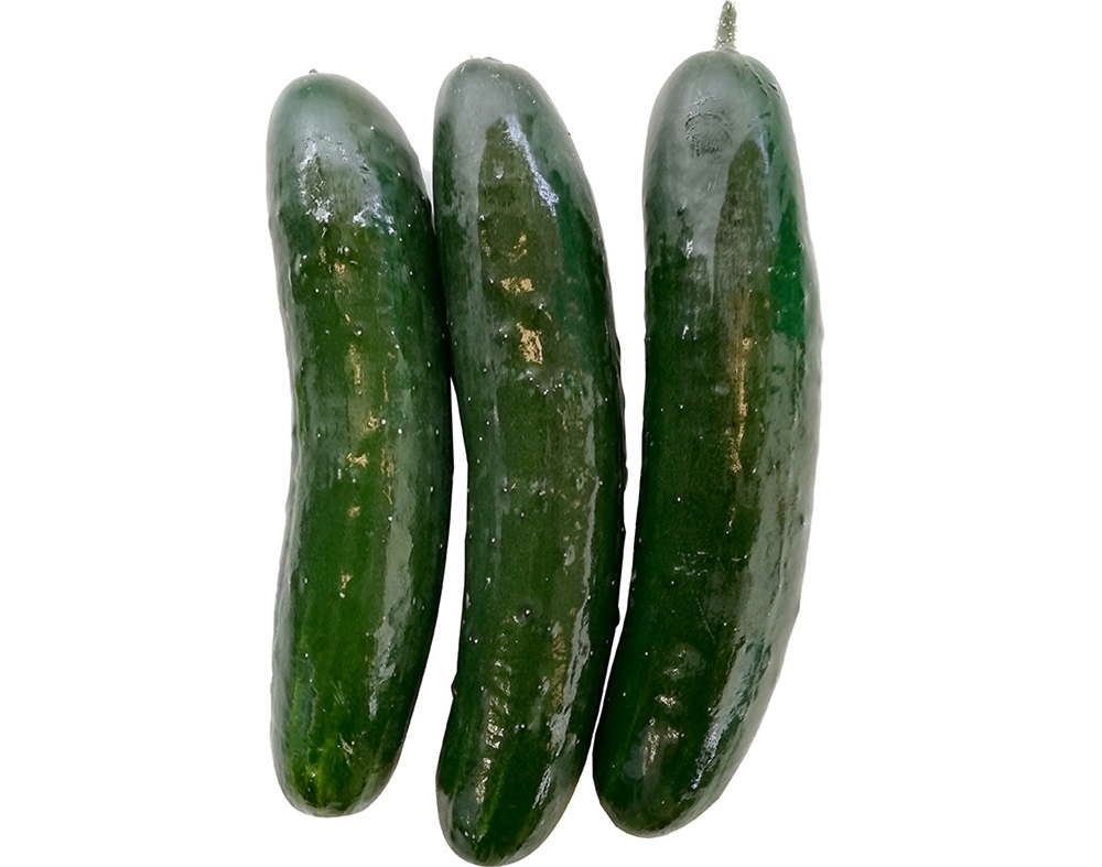 PEPINO KG PRODUTO LOCAL