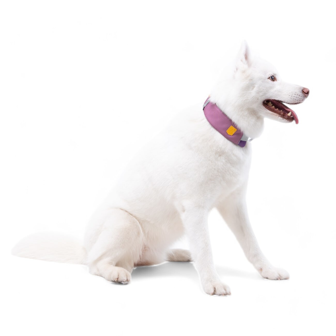 Woolly Wolf Halsband Alpha 360 Mauve Mix S
